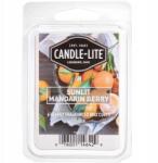 Candle-Lite Illatos viasz kockák párologtatóba, friss mandarin és málna illattal Candle-lite, 56g (076001151799)