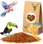  Vörös Köles Madaraknak 5KG Nimfapapagájnak, Hullámos Papagájnak, Tiszta, Szennyeződésmentes