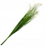 Diabolo CV17489 Fű Egy Köteg Mesterséges Pampa Dekoratív