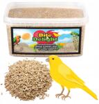  Mozga Kanárimag Kanár 8KG Tiszta Magva Vödör Madaraknak Papagájoknak Kanáriknak