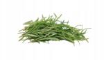  Farma z Rohoznice Rozmaring friss csokor 100g