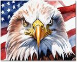  Diy Festés Számok Után Sas és Usa Zászló 40x50cm Akril Festékek (B0CQJMJ6TX)