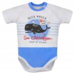 Koala Moby Dick csecsemő body kék Koala Baby 68cm