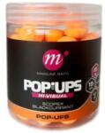 MAINLINE Boilies Pop-up Mainline Fluo Scopex Black Currant 15mm 250ml (a0.m.m13044)