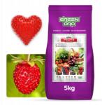 Green Oro Oro Fruits 100 napos tápoldat eperhez 5kg Tápoldat eperpalántákhoz (Nawóz do Truskawek Poziomek 100dni 5kg)