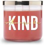 Colonial Candle Gyümölcsös illatú szójaviasz gyertya Always Be Kind (Mindig Légy Kedves) (665098519591)