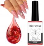 Bionessa Bőr- És Körömápoló Olaj 15ml Vitaminos Ápoló Ecsettel (5903814778613)