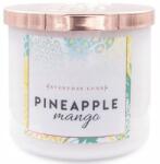 Colonial Candle Szójaviasz illatgyertya Ananász Mangó Colonial (665098544746)