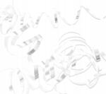 Folat Fehér papír szerpentinek, dekoráció partira