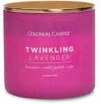 Colonial Candle Colonial levendula és zsálya illatú szójaviasz gyertya (665098546221)