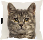  Szürke macskapárna, ajándéknak is tökéletes! (kot1)