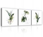Wallarena Kép Nappaliba Hálószobába Monstera Levelek Fehér Modern 3 Kép Vászon (Obrazy Na Płótnie Ścianę Liście 13640S13)