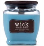 Colonial Candle Szójaviasz illatgyertya Ünnepi Fagyöngy Wick (665098524687)