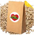  Mozga Kanaryjska Kanar 5KG Tiszta Kanárimag Zsák Madaraknak, Papagájoknak, Kanáriknak