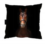  Ló Párna Ló 40x40 barna ló Ajándék (PODUSZKA Z KONIEM BIAŁYM do spania)