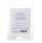 Colonial Candle Szójaviasz illatgyertya/mécses Nyugtató Levendula (665098606970)