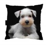  Kutyapárna Alváshoz, Ajándék (Poduszka z psem SZNAUCEREM do spania)