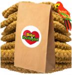  Szenegáli Fehér Köles 1KG Tiszta Nagy Kalászok Madaraknak Papagájoknak Eco Csomag