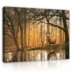 Wallarena Vászonkép Szarvas Erdő Fák Hálószoba 60x40 (Obraz Jeleń Las Drzewa Natura PP14520O4)