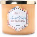 Colonial Candle Szójaviasz illatgyertya Sárgabarack Colonial Candle (665098516743)