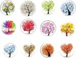  Funincrea Hűtőmágnesek Életfa Mintával 12 Darabos Szett, Színes (HYNSC)