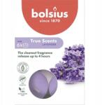 Bolsius illatos teamécsesek, levendula illatú, 4 órás, 6 darabos kiszerelés, True Scents (8717847137326)