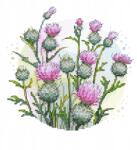 Coricamo Keresztszemes hímzés Hímzőkészlet Vadvirág bogáncsok Virágok (Z 10832)