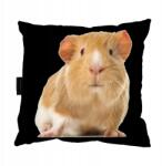  Tengerimalacos Párna Malacka tökéletes ajándék (yorkczarny)