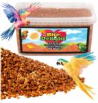  Vörös Köles Madaraknak 800G, Tiszta, Szennyeződésmentes, Nimfapapagájnak És Hullámos Papagájnak