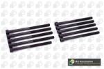 BGA Set surub, chiulasa BGA BK2376 (BK2376)