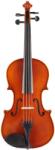 Eastman Samuel Eastman Violin 4/4 (VL50SBC )