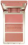 Morphe CHEEK THRILLS MULTI-FINISH FACE TRIO - HONEYMOON SUITE After Party 10.8 g