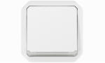 Legrand Plexo 55 kétpólusú kapcsoló 10A, fehér - 069627L (069627L)