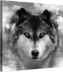 DEGRETS Vászonkép DEGRETS 78155, 80x80cm (78155)