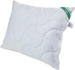 SENNA Párna, Senna, 70X80, fehér (198041)