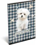 Lizzy Card Füzet tűzött A/4 kockás 80-32 FSC Kis Bagoly Pawsome (22976747)