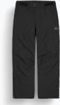 Picture Pantaloni de schi pentru bărbați Picture Plan 10/10 black