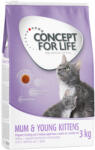 Concept for Life 3kg Concept for Life Mum & Young Kittens száraz macskatáp -25% kedvezmény