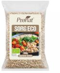 Pronat Foil Pack Sorg Boabe Bio, 300 g, Pronat