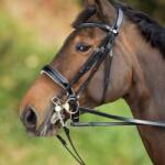 HFI Lovagló zablák fehér|fekete