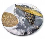 Affek Design Blanche Colours Dekorációs tányéralátét, arany (HTOS9857)