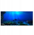  Akvárium Háttér Öntapadós Vízalatti Világ 122X50CM Kék (JN73437)