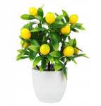  Művirágok Növények Citrom Cserépben (CTIRA6463)