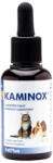 VetPlus VETPLUS Kaminox, multivitamine câini, suspensie orală VETPLUS Kaminox, XS-XL, multivitamine câini și pisici, flacon, 60ml suspensie orală