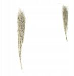  Két darabos szárított chili fű szett fehér 85-95 cm Dekoráció (Suszona trawa Chili)