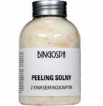 BingoSpa Só peeling kojsavval 580g (826)