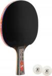 Giant Dragon Asztalitenisz Ütő Ping-pong Giant Dragon 9 csillag N8091 2 Fűrész (5903175207487)