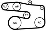 Continental Ctam Set curea transmisie cu caneluri CONTINENTAL CTAM 5PK1646K1 (5PK1646K1)