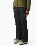 Picture Pantaloni de schi pentru femei Picture Exa 20/20 black