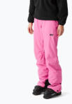 Picture Pantaloni de schi pentru femei Picture Exa 20/20 super pink
